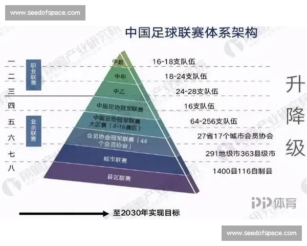 以国脚为核心解读新周期中国足球阵容重建与未来走向战略思考